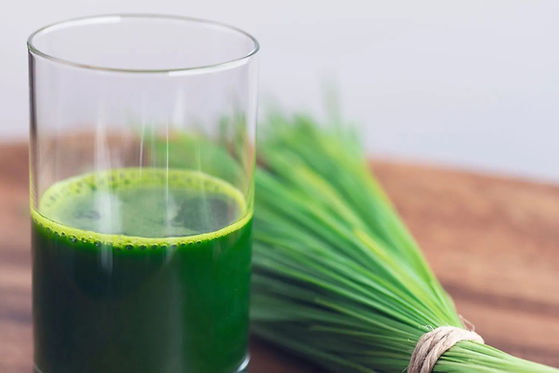 Wheatgrass