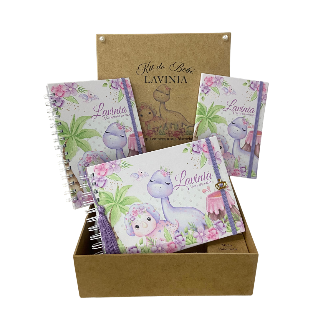 Kit Box do Bebê Dinossauro menina