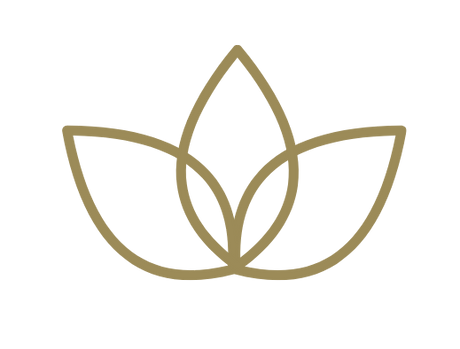 Trident investment account client login