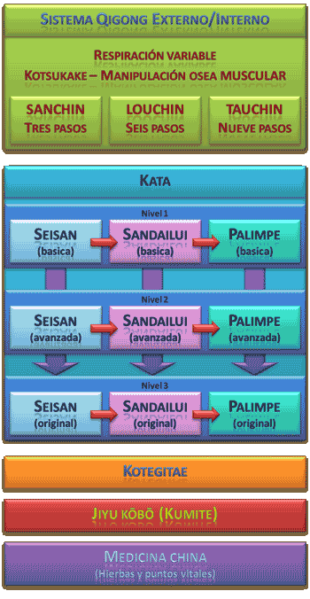 Sistema Original de UechiRyu Uechi Ryu 上地流 空手道 空手術 唐手術 唐手道 Karate Tradicional Clasico