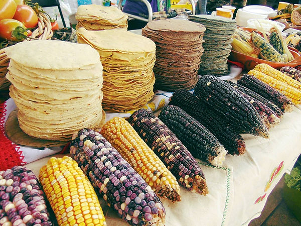 La VIII Feria de la Milpa 2022 1.jpg