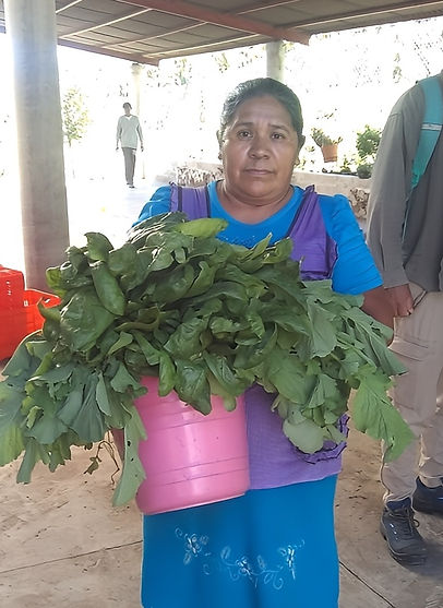 Rosa Ruiz Morales - Promotora de Ocotepec.jpg