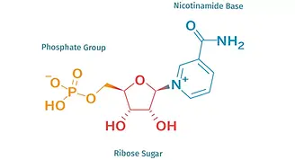 nmn-graphics | Biopharm OEM