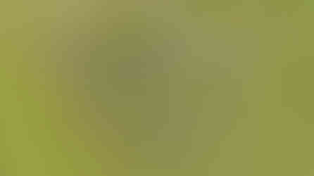 FIGHT.K《30 UP單身旅行團》第一屆 星起製片 影片製作公司 / 多機紀錄 / 活動錄影 / 紀錄影片 / 活動攝影