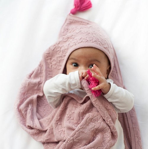 Thumbnail: Blanket Cotton Tender Mr Big, Blueberry Bears