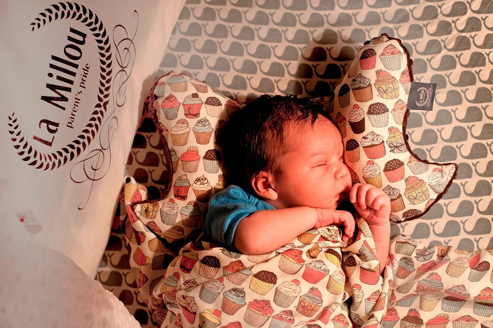 Thumbnail: Angel's Wings Pillow, Apache Owls Latte