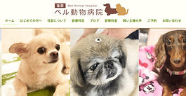 ２４年１２月東京都、神奈川県の株式会社ハートフルペットケアベル動物病院様