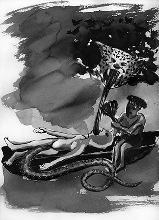 1350-Jaguar-Aya2.gif