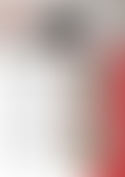 LA IMPORTANCIA DE LOS ZÓCALOS