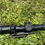 Thumbnail: Fierce 1-6X LPVO Riflescope