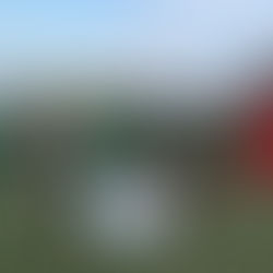 Gol Kornela Porczyńskiego dał wygraną trampkarzom starszym