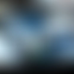 June 2S - Neil Wilson: The Vital Ingredient