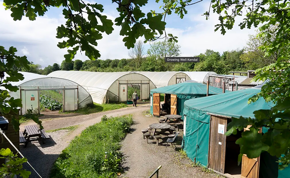 Cafe Visit to Growing Well