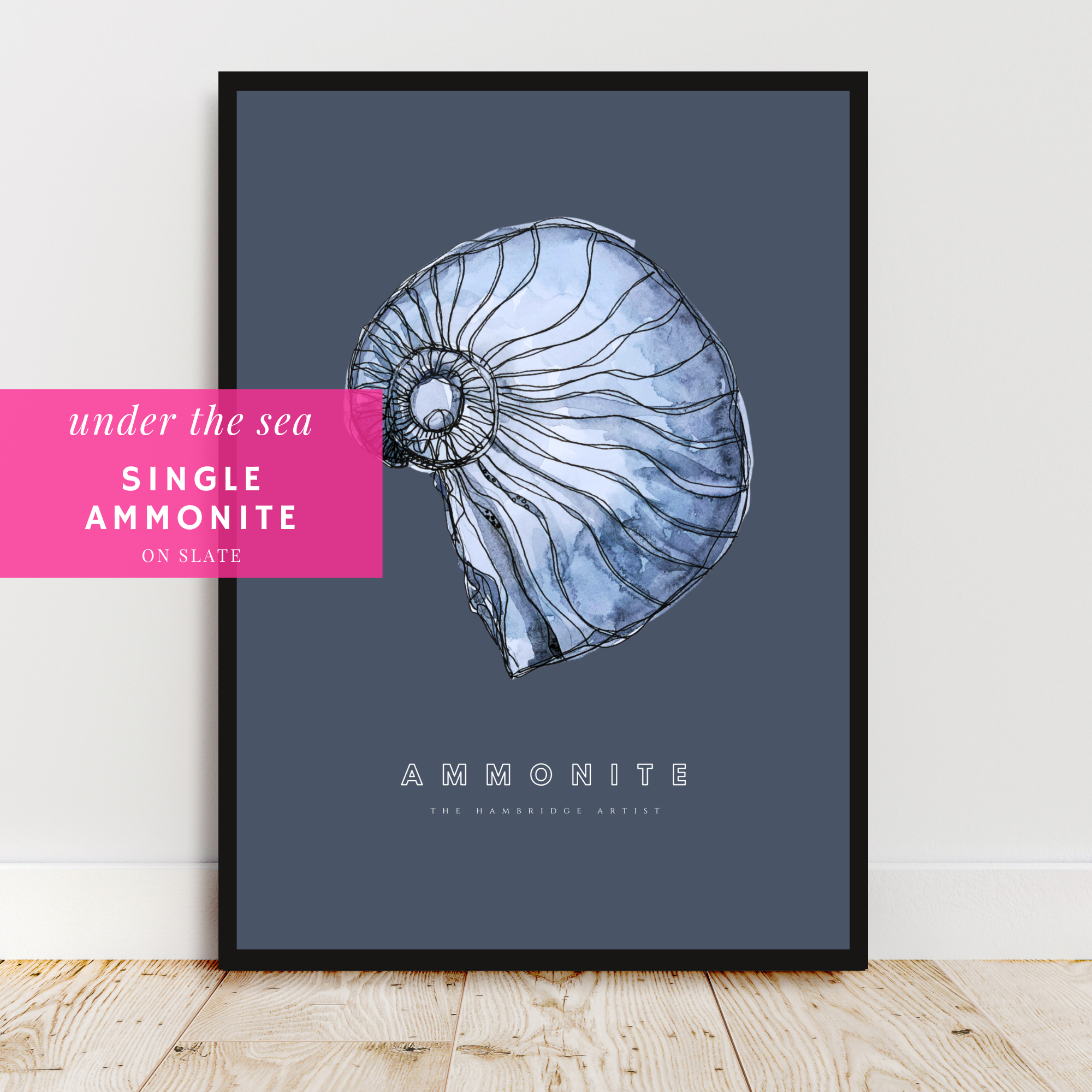 SINGLE AMMONITE ON SLATE ART PRINT UNFRAMED