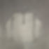 IMG_4730.jpeg