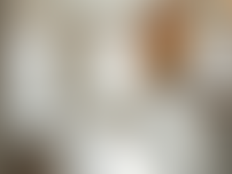 Strategic Renovation Planning for Phased Home Renovations