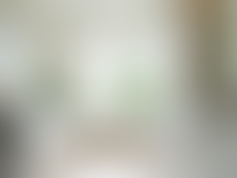 Planning Your Ideal Home Renovation