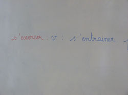 Le mot du jour