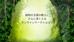 植物の王国WS