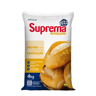 modelo FRENTE.png