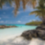 Beach scene with turquoise water, a swimmer, palm leaves overhead, and rocky shoreline. Clear blue sky and vibrant, sunny mood.