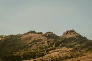 2025 Q1 Market Recap