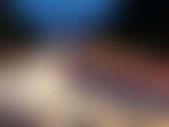 Economic Outlook: Initial Take on Trump’s Four Buckets