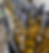 Thumbnail: mehrere Flaschen Wein - dekorativ