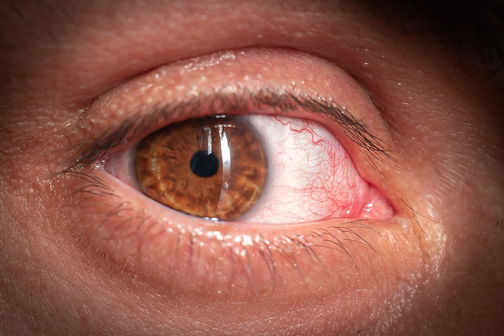 Photographe Genève
studio portrait 
corporate 
photographe professionnel
photo geneve
photographe suisse
photgraphe mariage