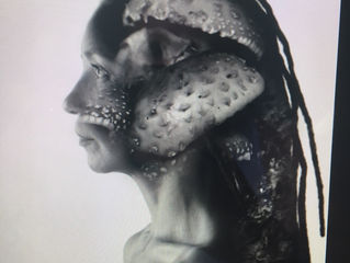 Stage one of micro project
