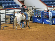 Stolen Identity Chute.JPG