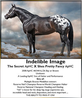 indeliible Image lg.jpg