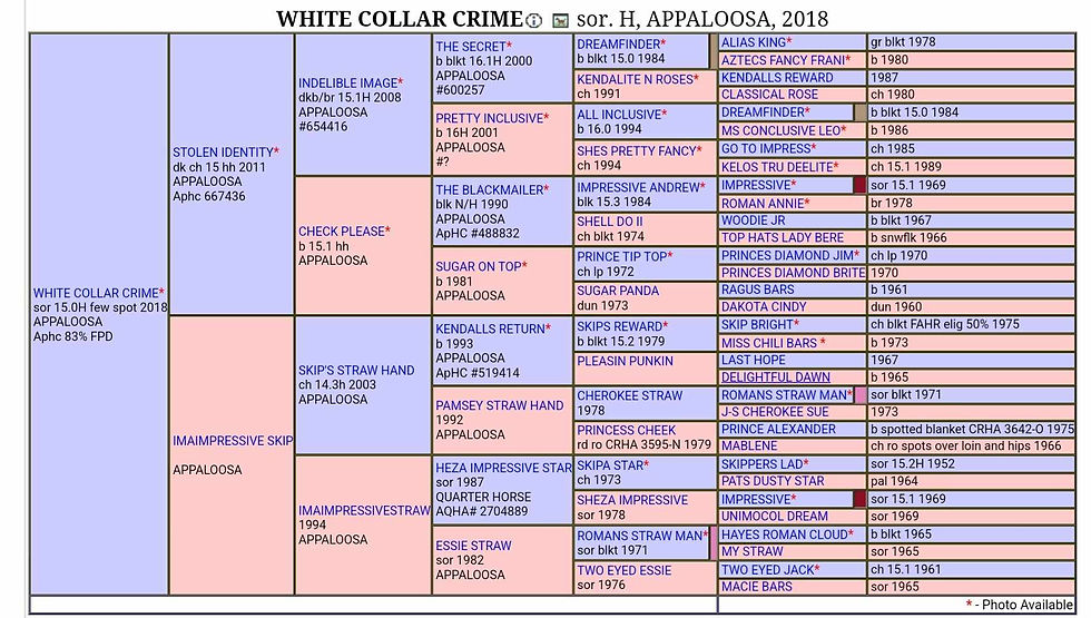 White Color Crime X Stolen Identity(8)