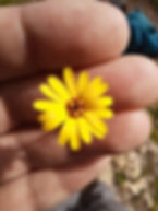 11e202cd-3dcc-48e0-a88f-78f6766881db