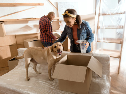 5 Ways to Make Your Dog More Comfortable When Moving