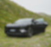 DSC08500.jpg