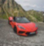 DSC08553.jpg
