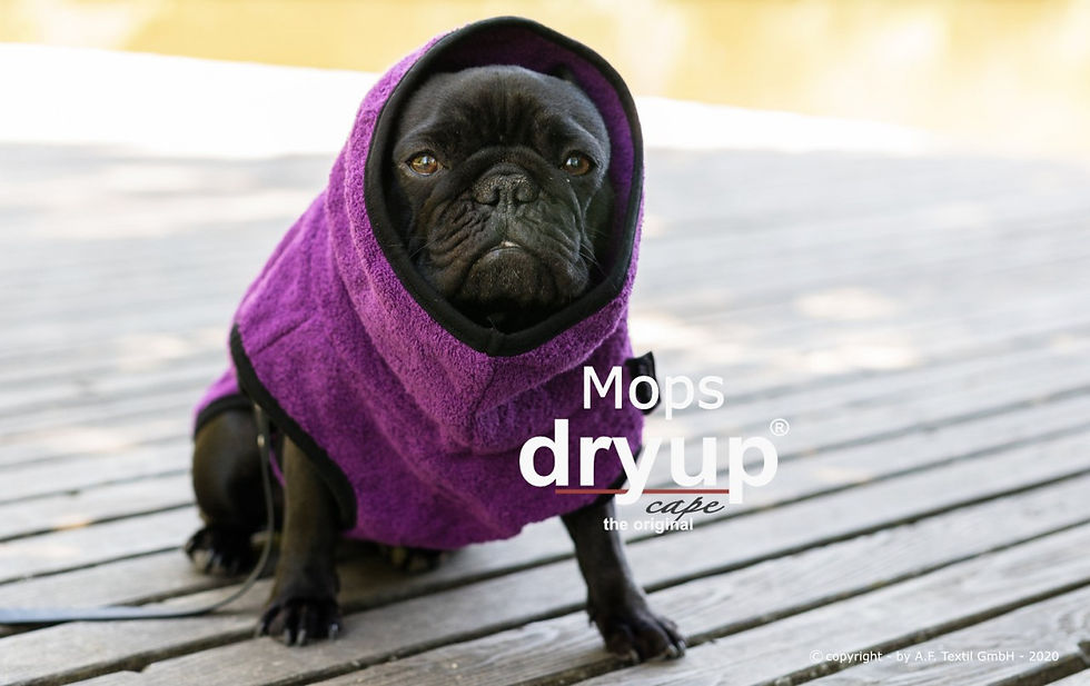 Miniaturbild: DryupⒸ Cape - Mops