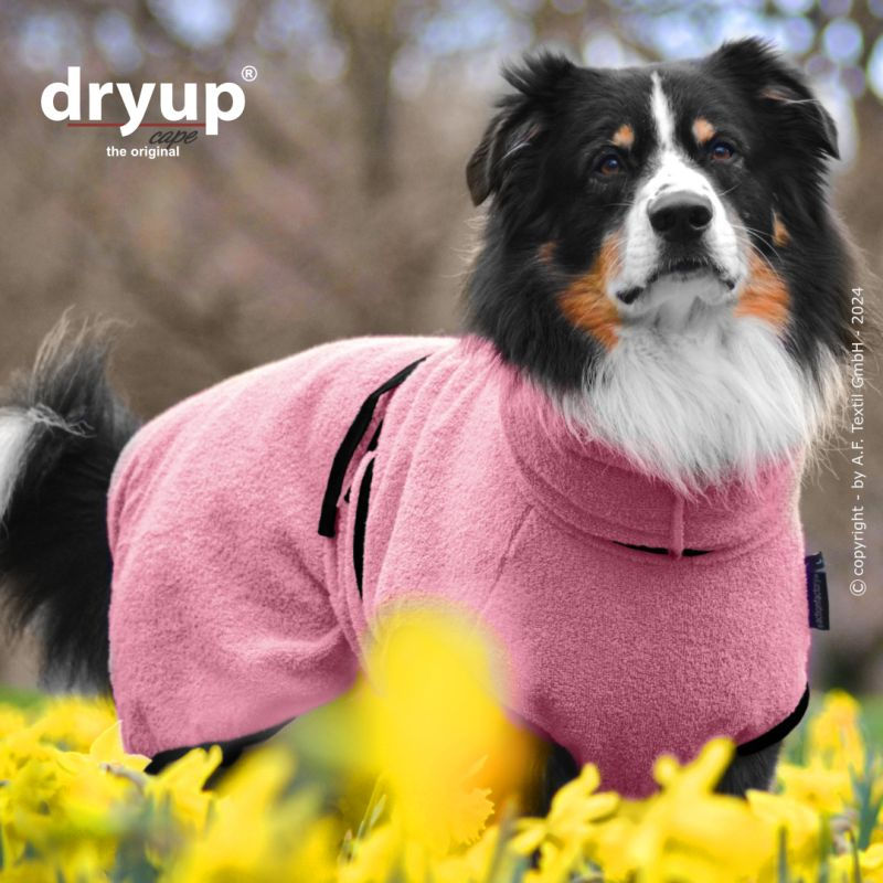 Miniaturbild: DRYUP CAPE STANDARD