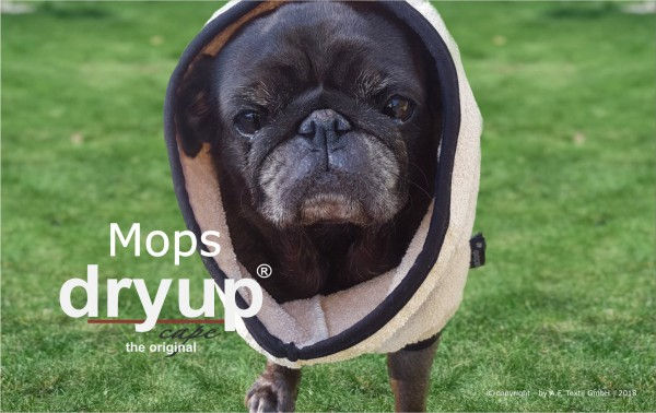 Miniaturbild: DryupⒸ Cape - Mops