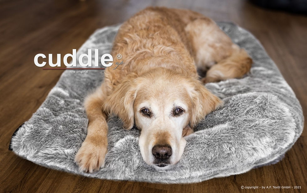 Thumbnail: Cuddle up - Der wandelbare Hundeliegeplatz (Ideal zum Verreisen)