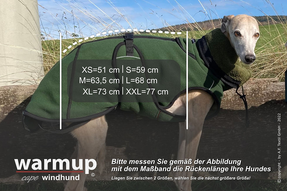 Miniaturbild: WARMUP© cape PRO WINDHUND pine green