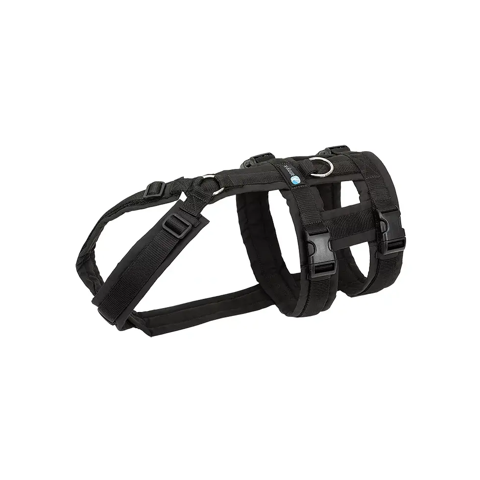 Miniaturbild: Annyx Brustgeschirr Safety Fun - Div Farben