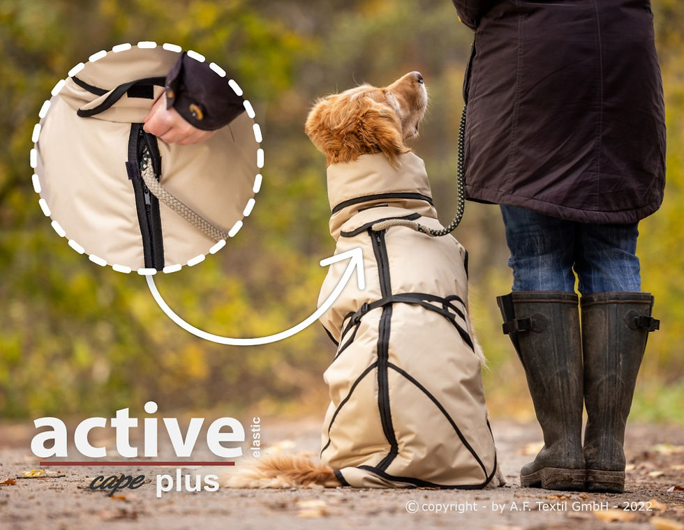 Miniaturbild: ACTIVE cape PLUS - ELASTIC - sand