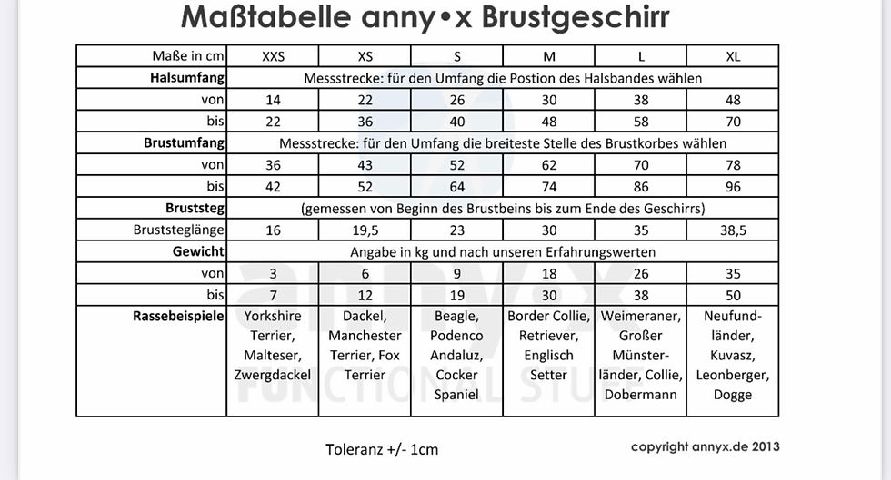Miniaturbild: Annyx Fun Brustgeschirr grau / silber