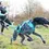 Miniaturbild: I-DOG Zughundeleine ALM Opale CC