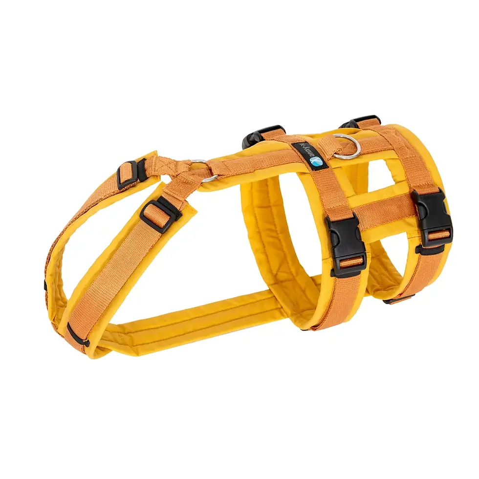 Miniaturbild: Annyx Brustgeschirr Safety Fun - Div Farben