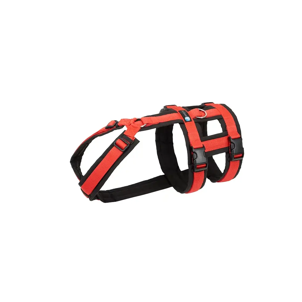 Miniaturbild: Annyx Brustgeschirr Safety Fun - Div Farben