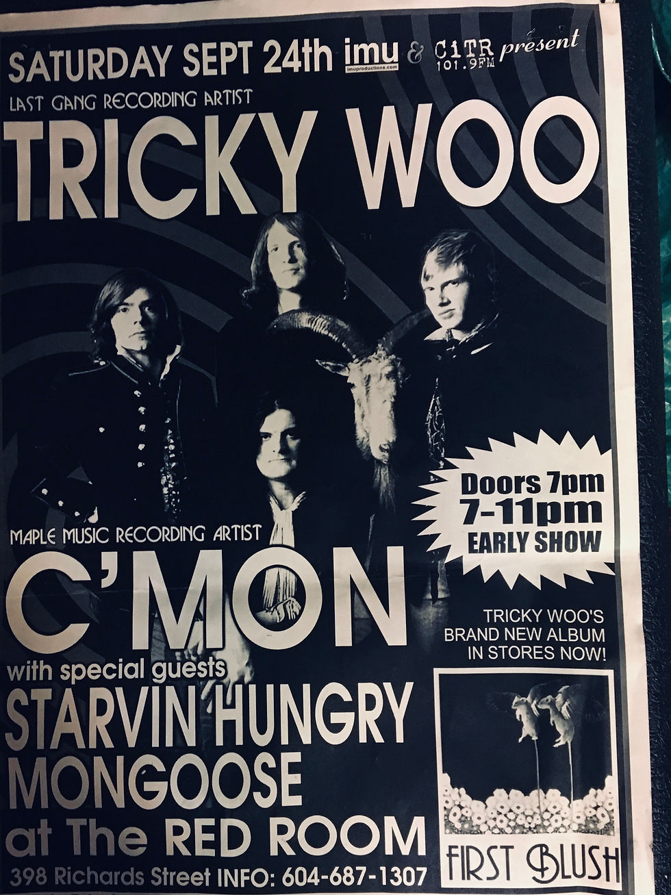 Tricky Woo show poster