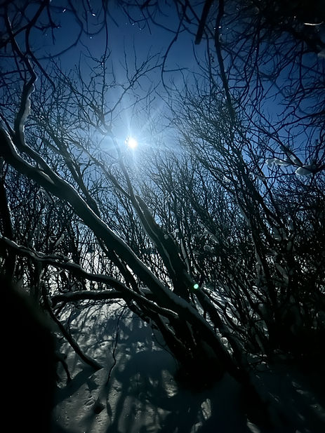 A beautiful Canadian prairie night.